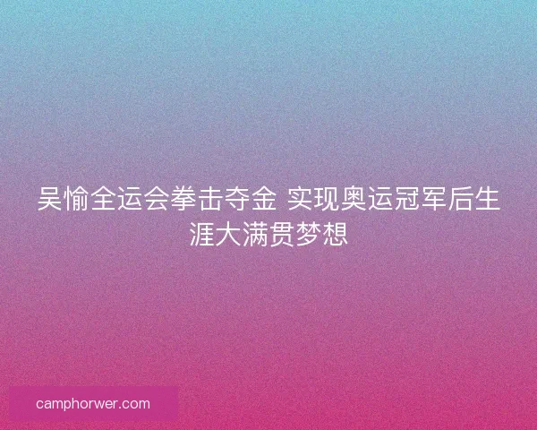 吴愉全运会拳击夺金 实现奥运冠军后生涯大满贯梦想