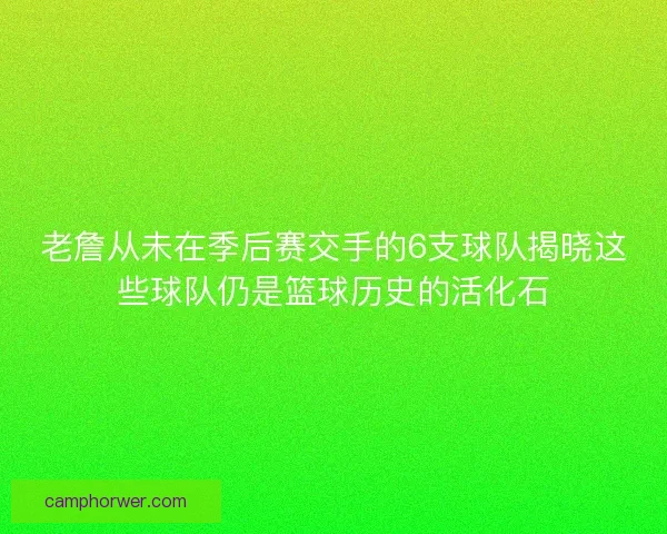 老詹从未在季后赛交手的6支球队揭晓这些球队仍是篮球历史的活化石