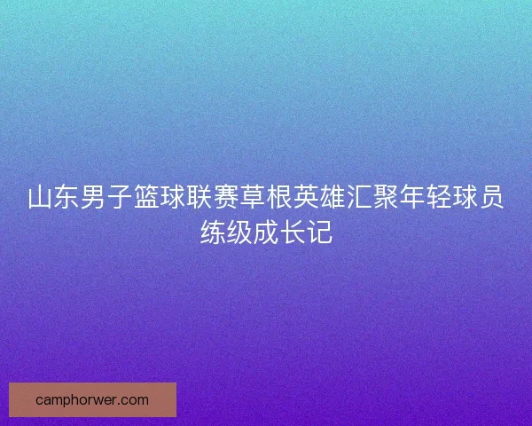 山东男子篮球联赛草根英雄汇聚年轻球员练级成长记