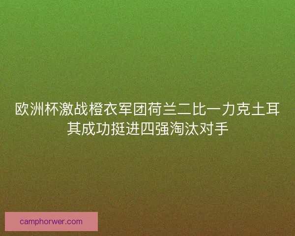 欧洲杯激战橙衣军团荷兰二比一力克土耳其成功挺进四强淘汰对手