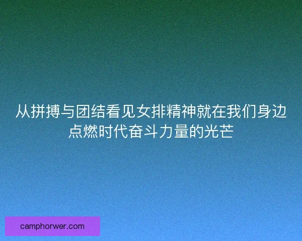 从拼搏与团结看见女排精神就在我们身边点燃时代奋斗力量的光芒