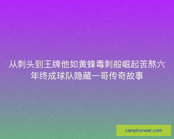 从刺头到王牌他如黄蜂毒刺般崛起苦熬六年终成球队隐藏一哥传奇故事