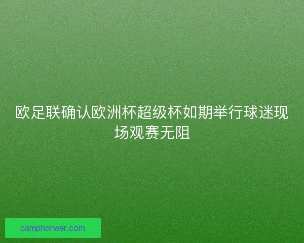 欧足联确认欧洲杯超级杯如期举行球迷现场观赛无阻