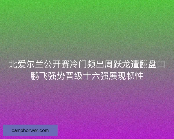 北爱尔兰公开赛冷门频出周跃龙遭翻盘田鹏飞强势晋级十六强展现韧性