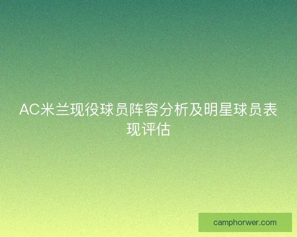 AC米兰现役球员阵容分析及明星球员表现评估